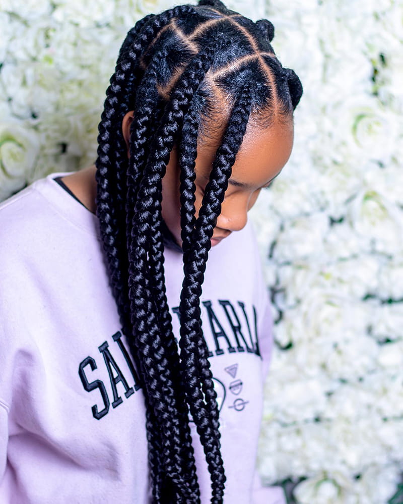 Breathtaking Big Box Braids