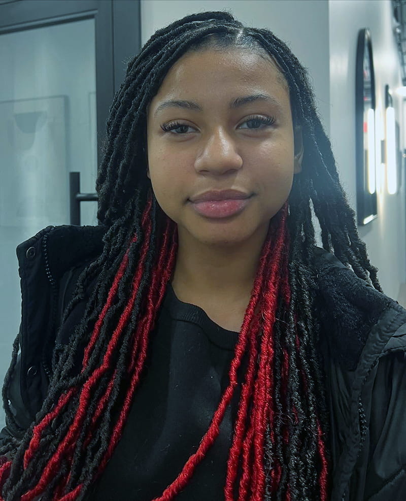 Protective Faux Locs