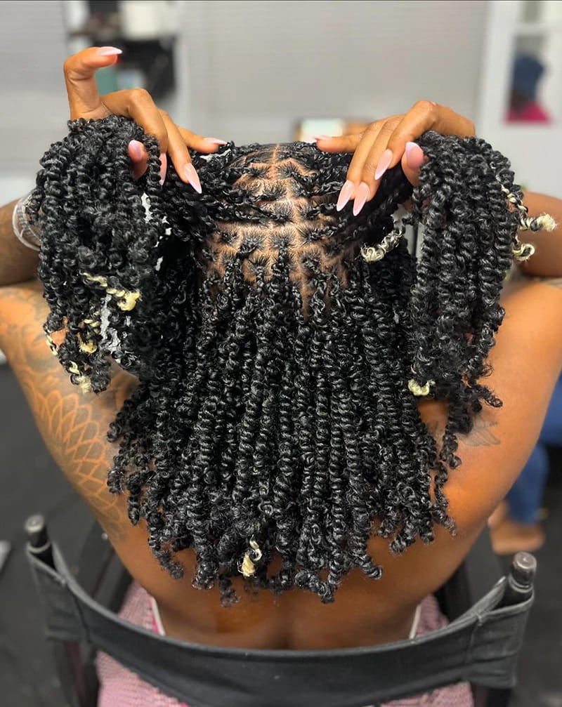Spring Twists