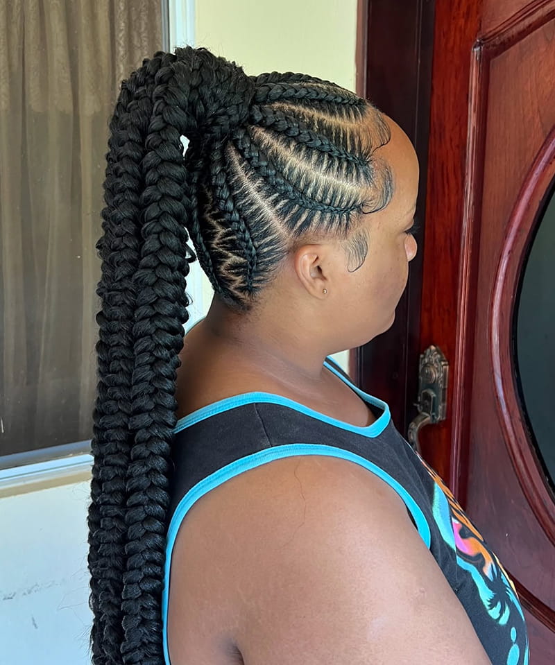 Bonus Butterfly Braids