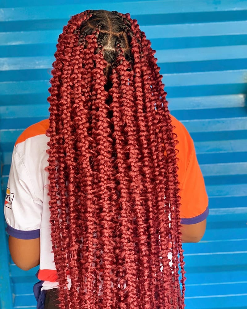 Burgundey Butterfly Braids
