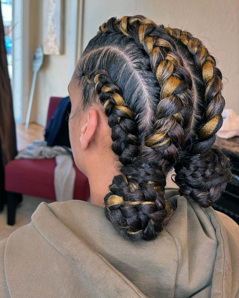 Braided Space Buns