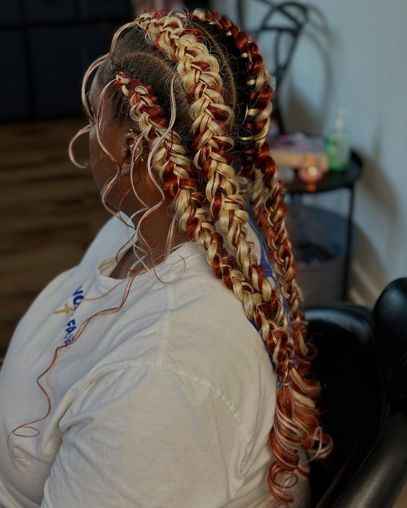 Highlighted Butterfly Braids