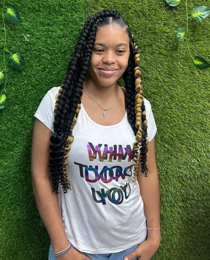 Highlighted Butterfly Braids