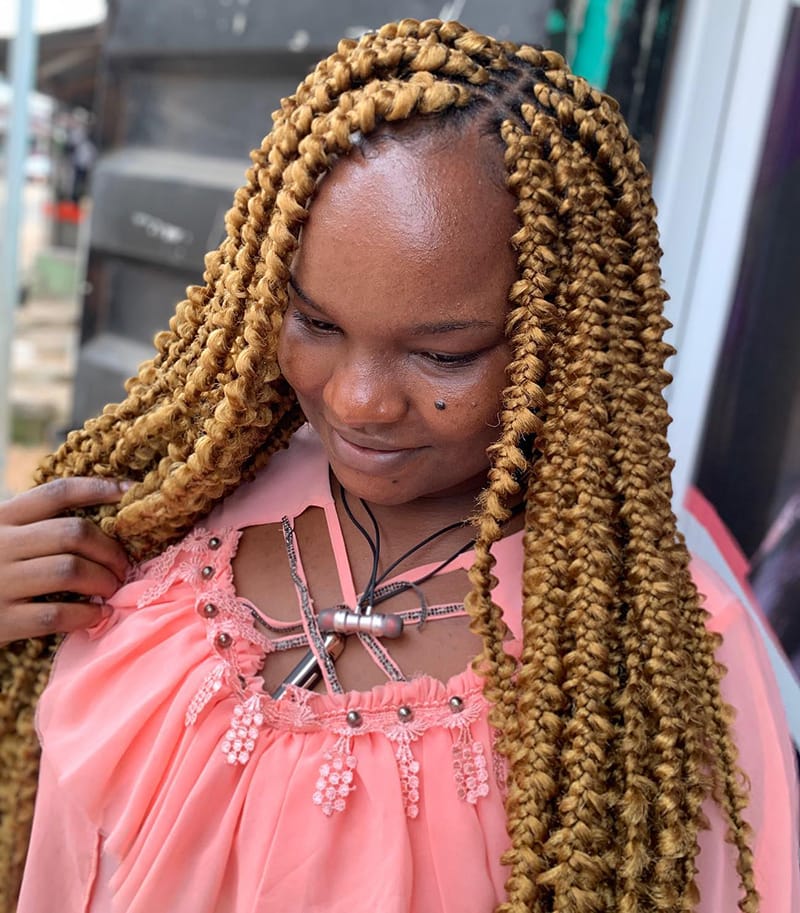Honey Blonde Butterfly Braids