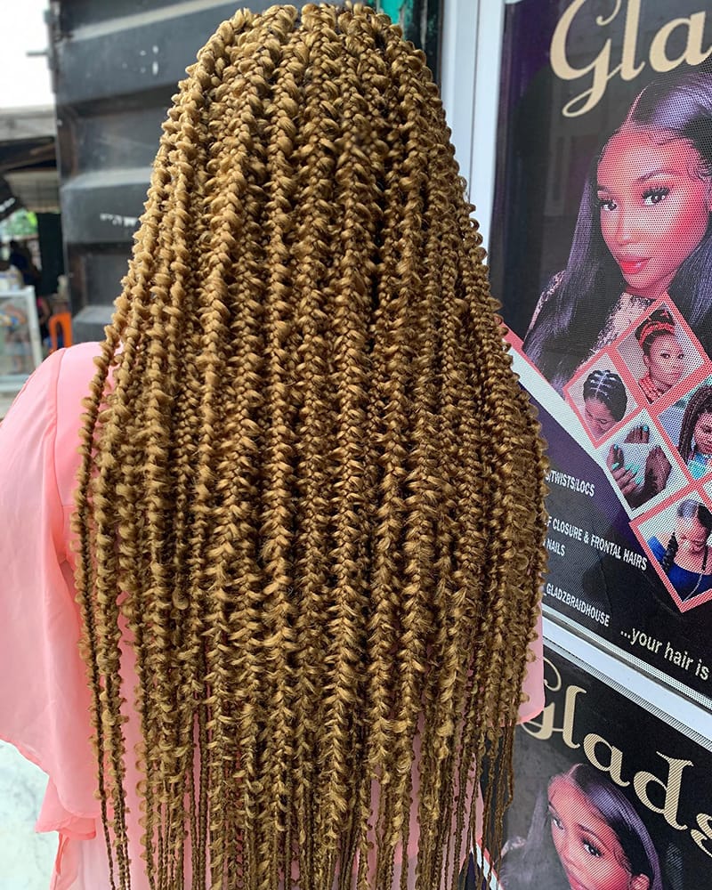 Honey Blonde Butterfly Braids