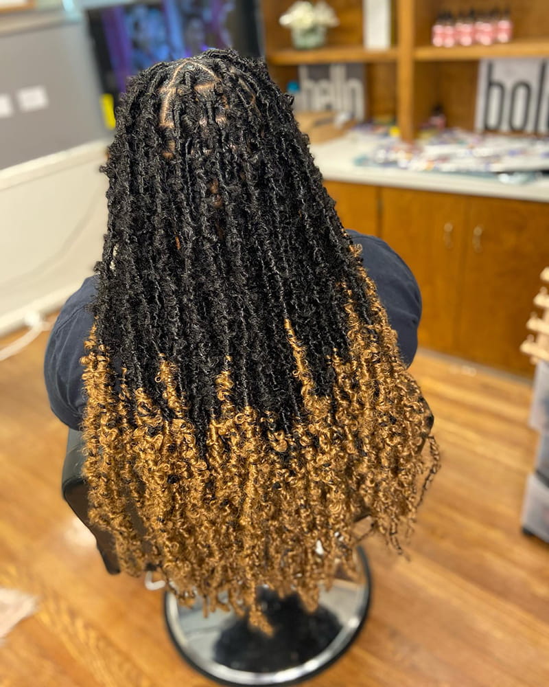 Ombre Butterfly Braids