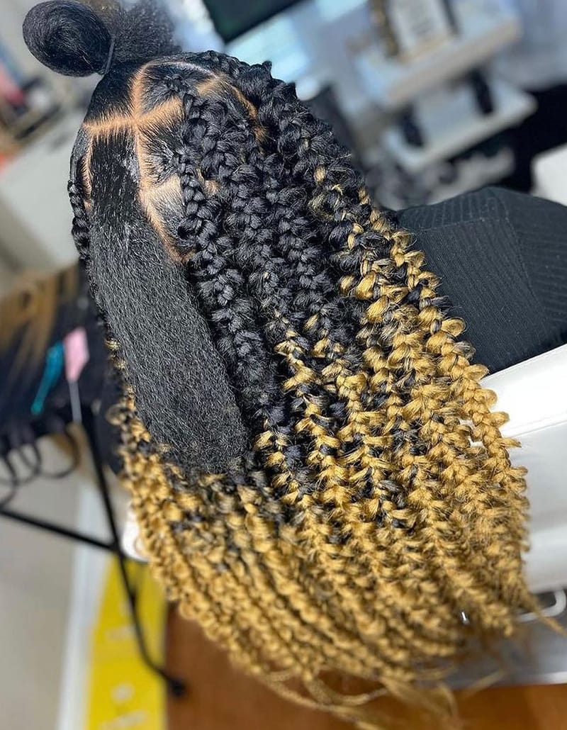 Ombre Butterfly Braids