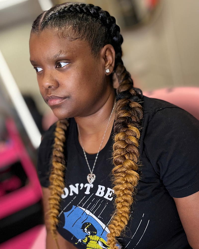 Ombre Butterfly Braids