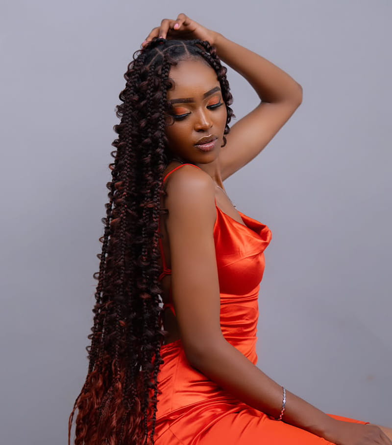 Ombre Butterfly Braids