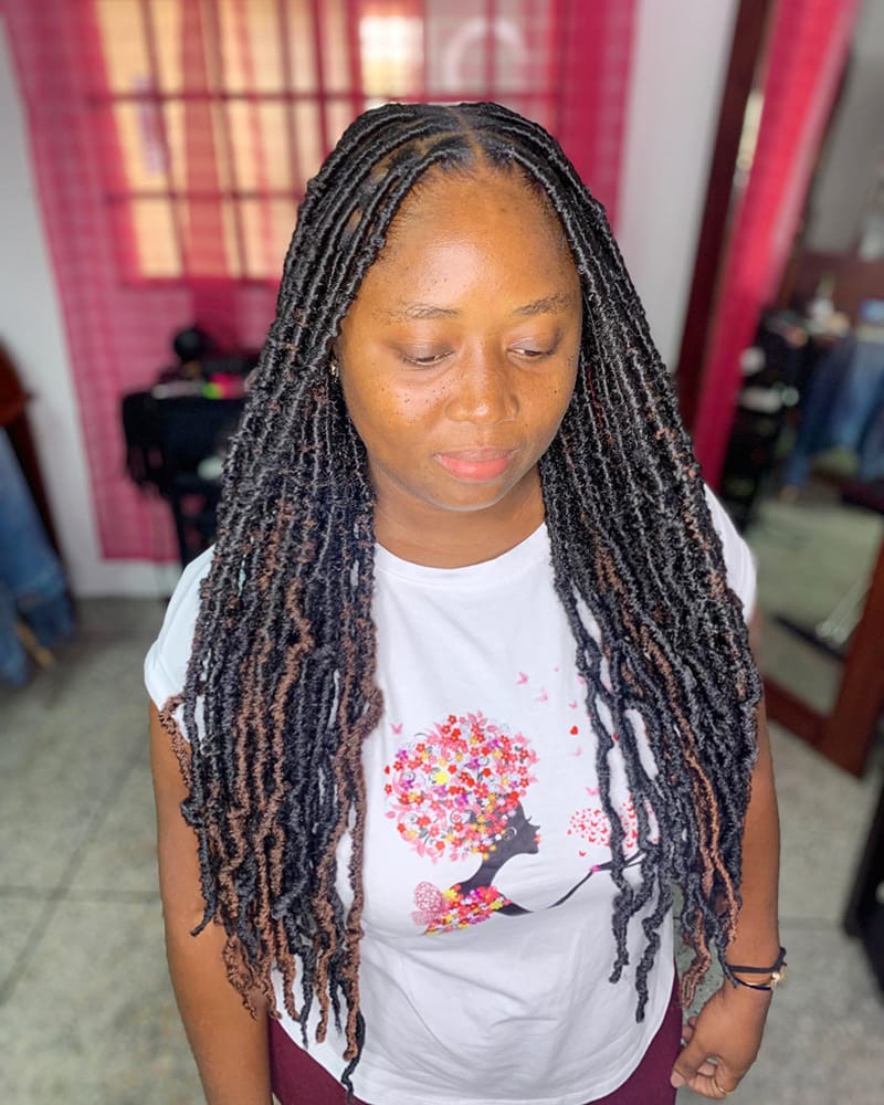 Beautiful Faux Locs Locs with Added Length