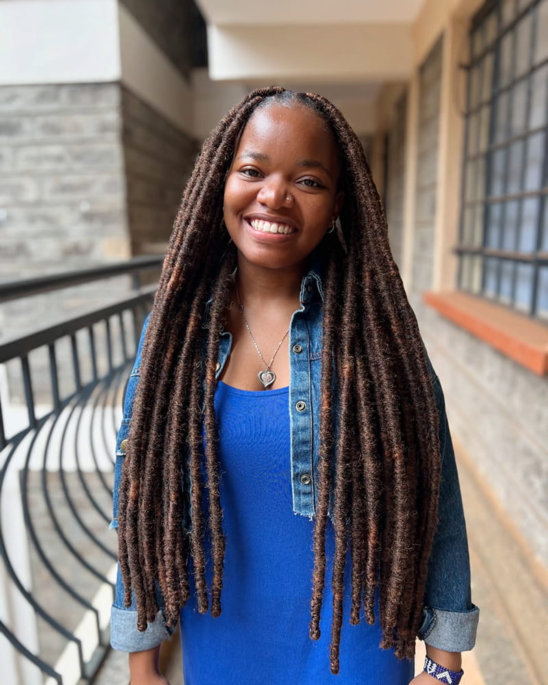Beautiful Faux Locs Locs with Added Length
