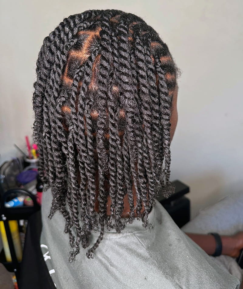Cornrows with Twist Braids for Men back View