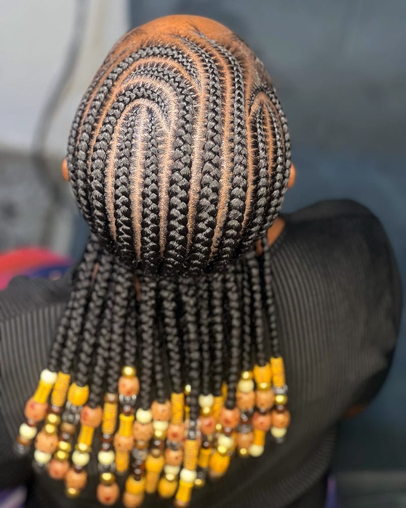 Fulani Braids Back View