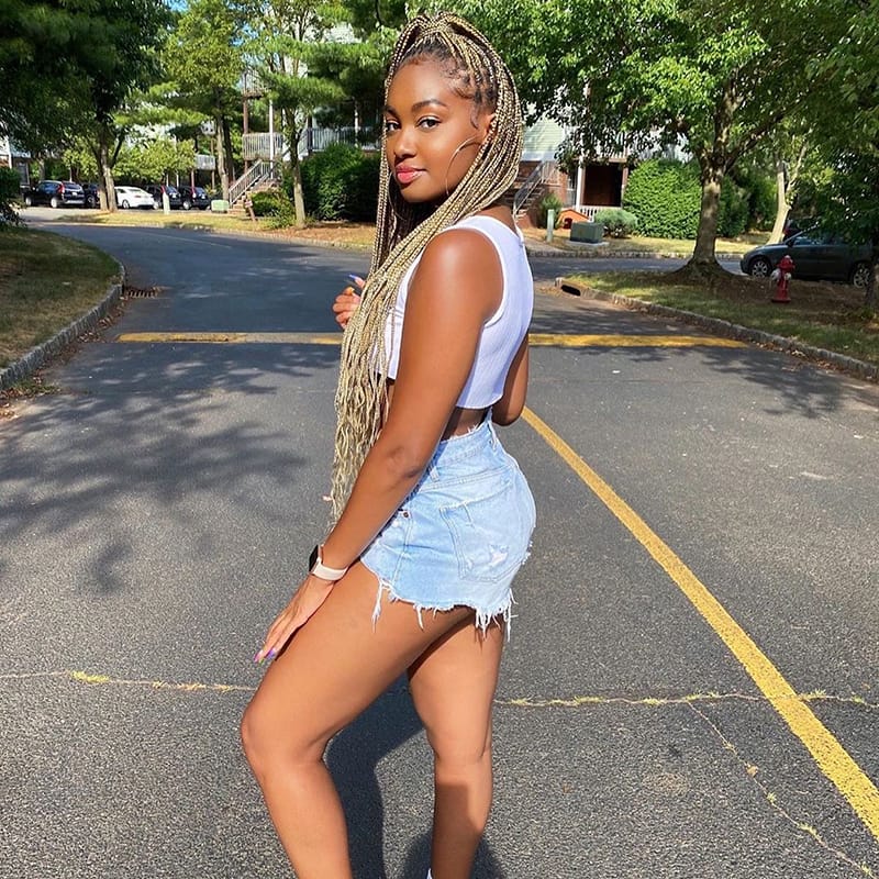 Long Box Braids Ponytail for Stunning Look