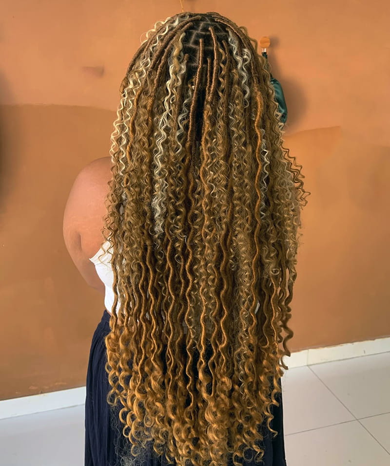 Long Locs hairstyles with Different Colors