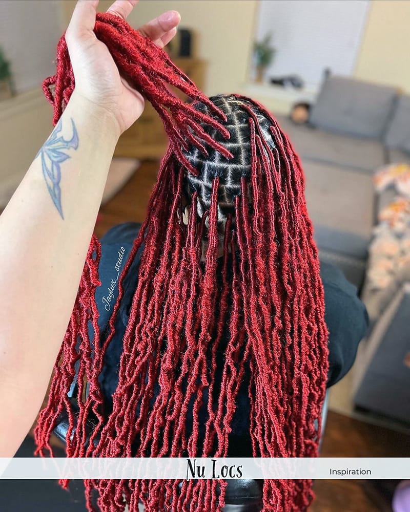 Long Locs hairstyles with Different Colors