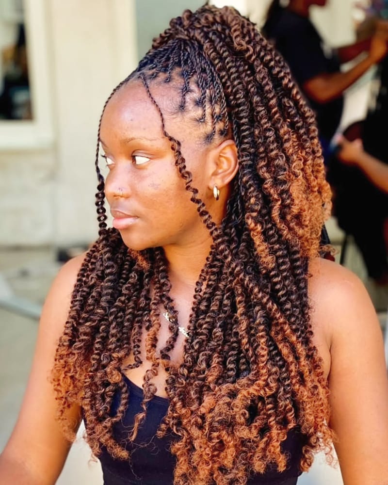 Long Springy Twists Hairstyles