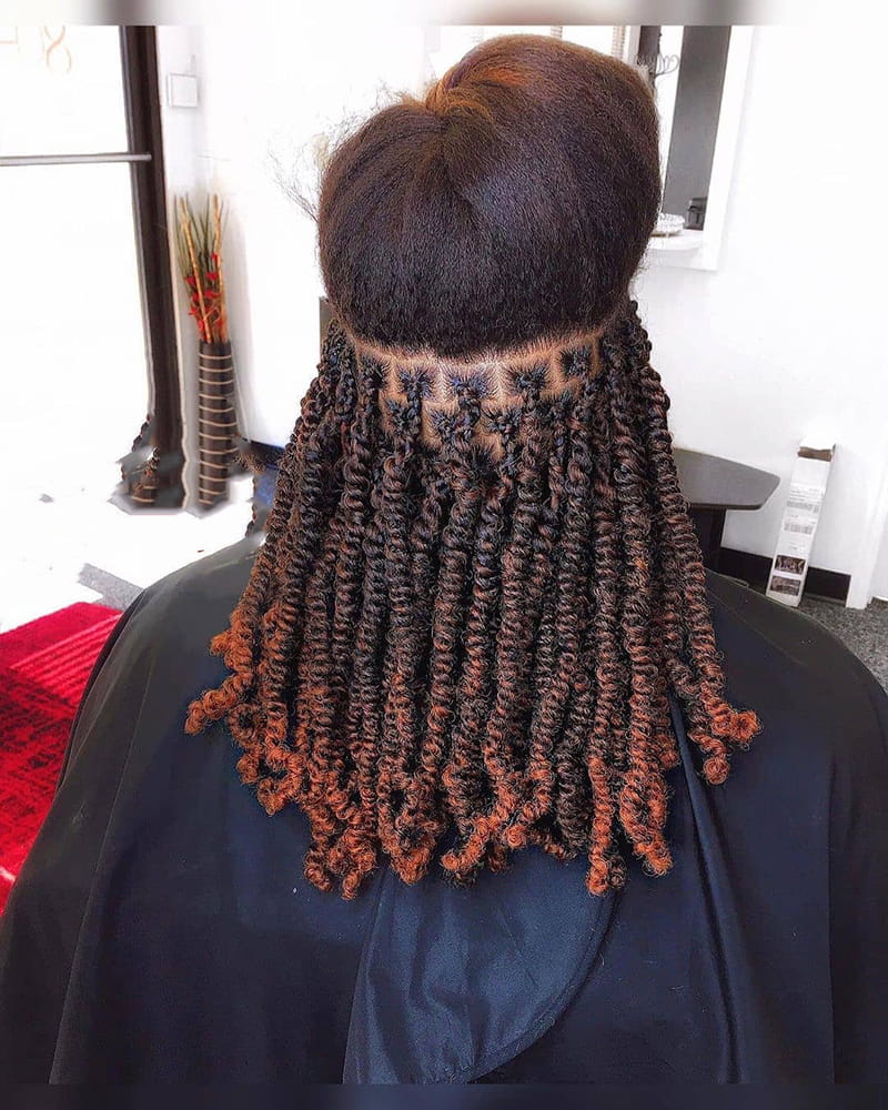 Long Springy Twists Hairstyles