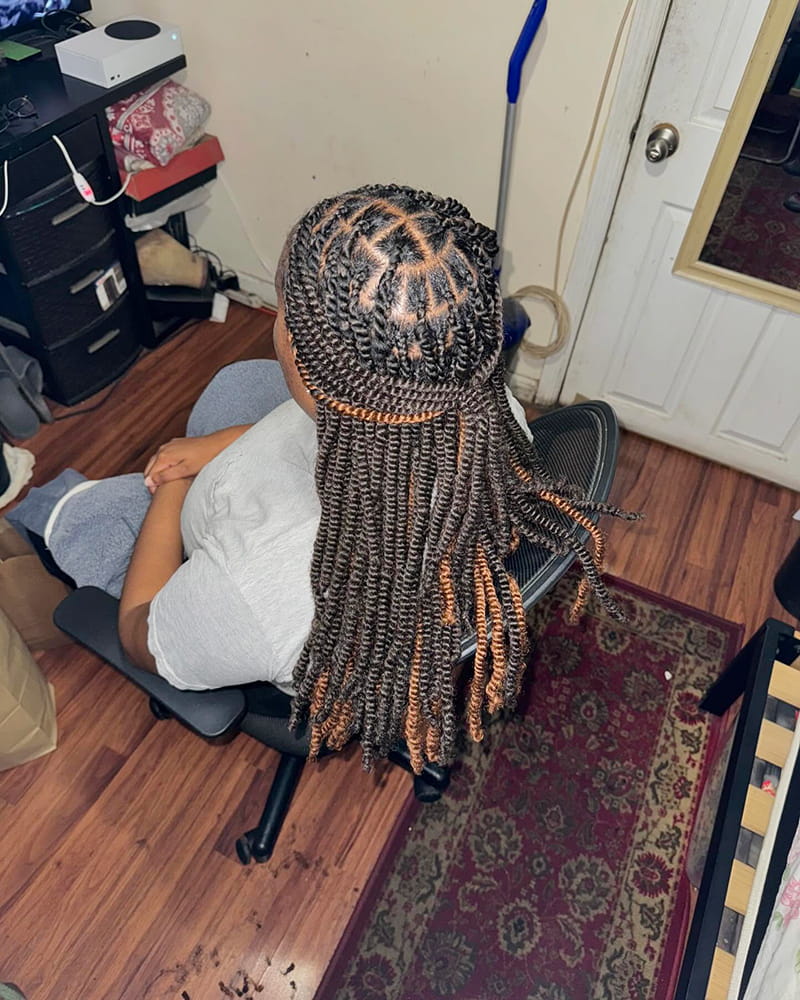 Long Springy Twists Hairstyles