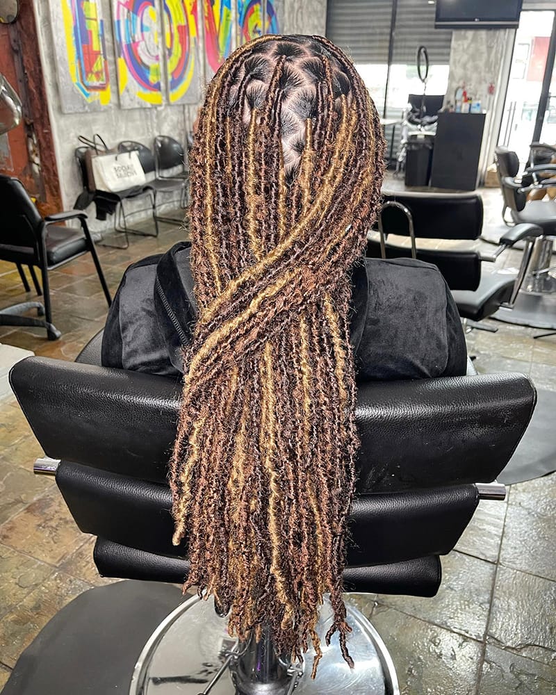 Multi-Colored Locs Styles