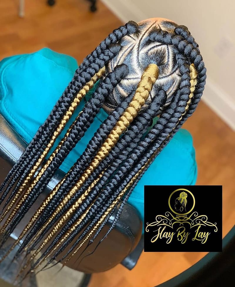 Multi-Colored Long Box Braids hairstyles