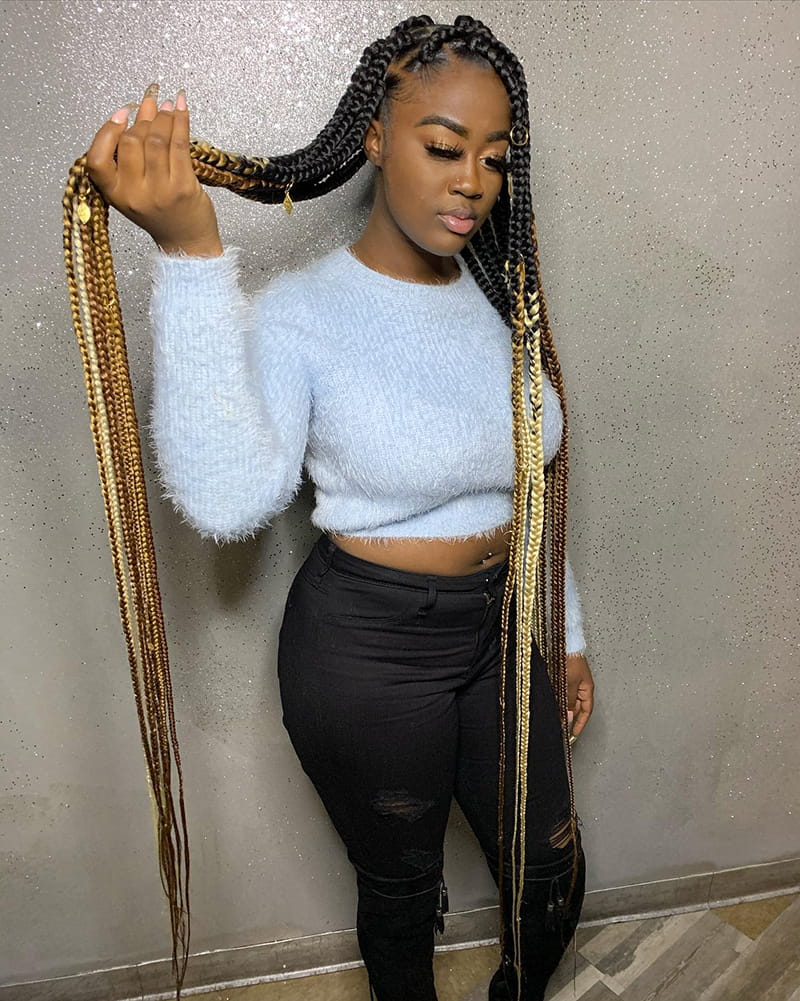 Multi-Colored Long Box Braids hairstyles