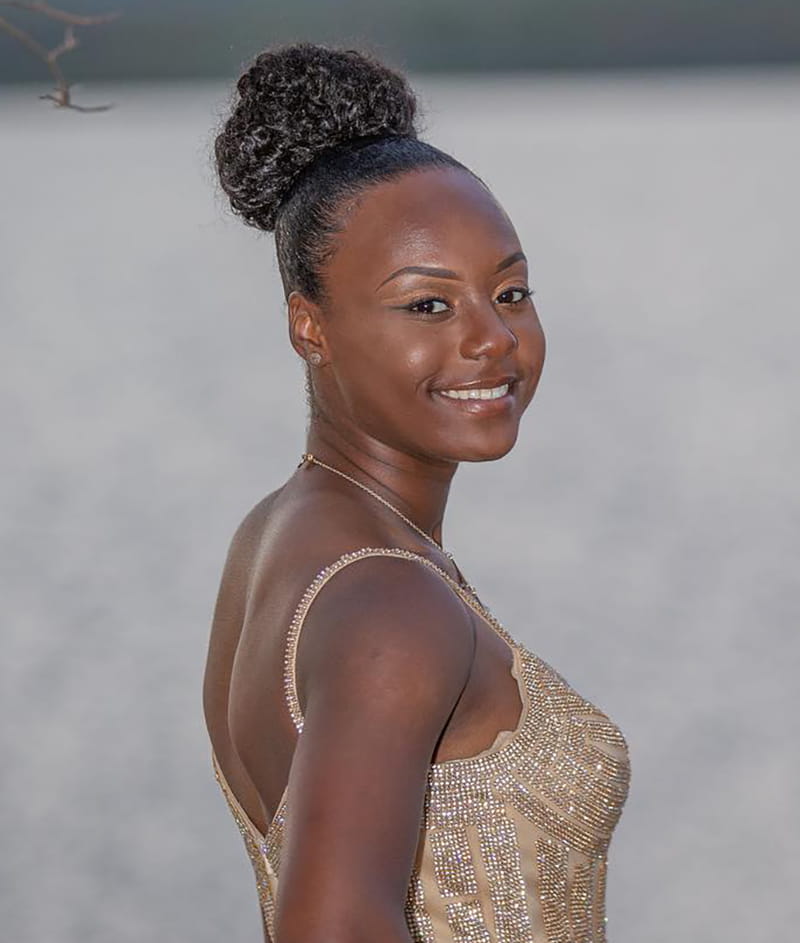 Sllek natural Hair Puff