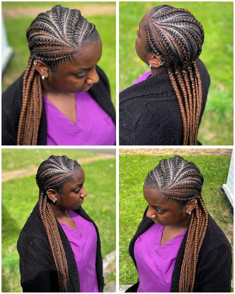 African Sunbrust Cornrow Braid Hairstyles with Brown Highlights