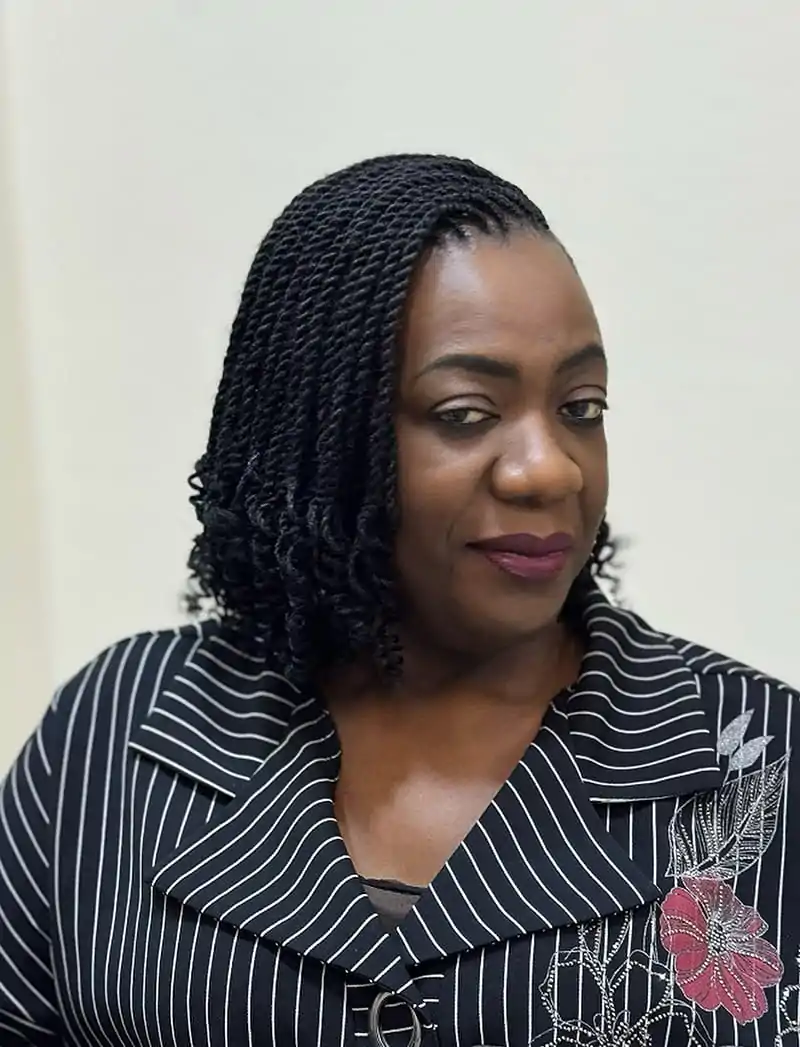 Left Side View of Side Braided Bob Hairstyle